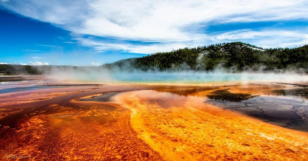 3 Must-Visit German National Parks That Will Leave You Breathless!