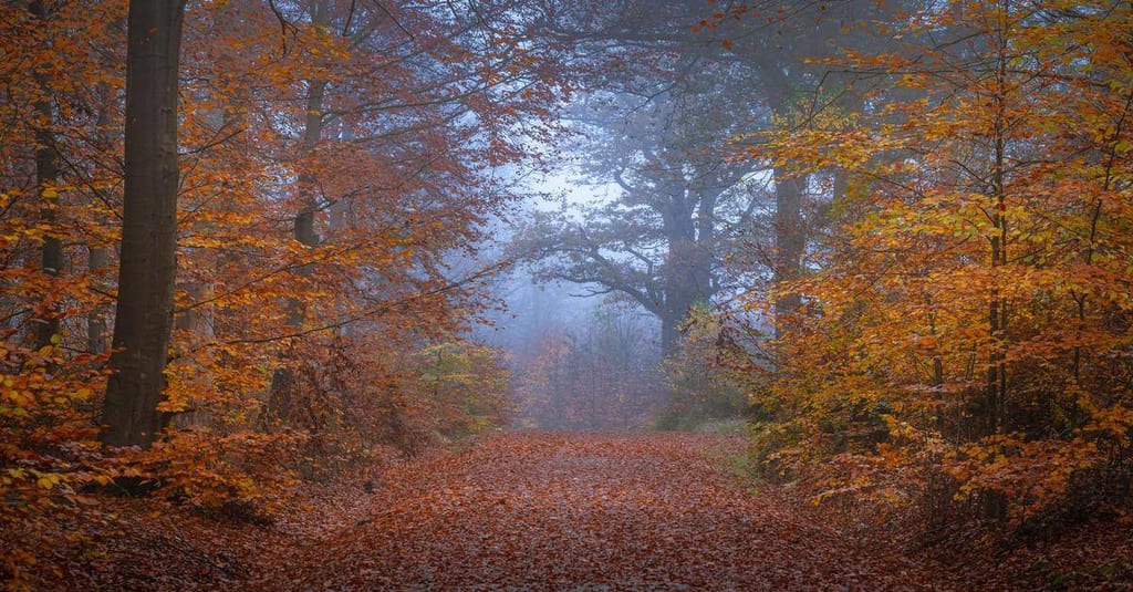 Top Places to Visit in Germany for an Autumn Getaway