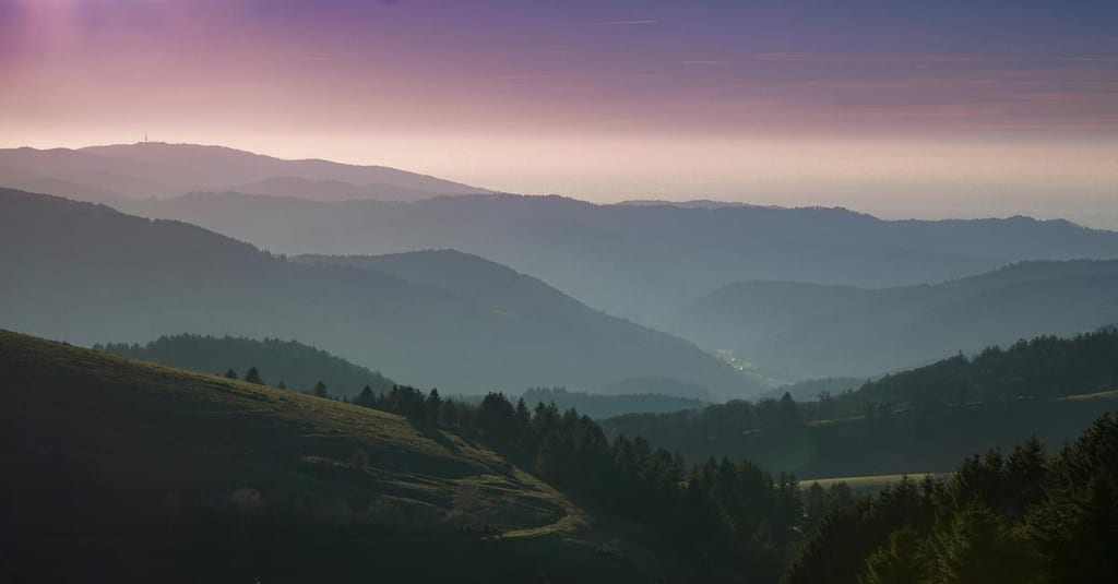 Exploring the Black Forest: Self-Guided and Guided Tours for Every Traveler